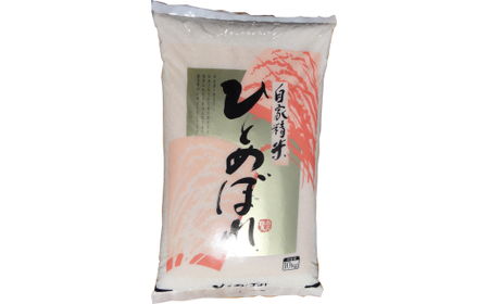 令和7年産 ひとめぼれ10kg(精白) 米 精白米