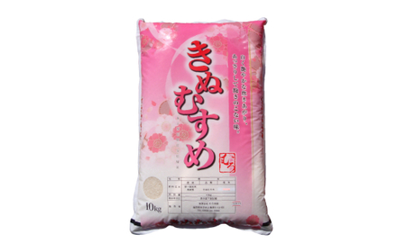 令和7年産 きぬむすめ10kg(精白) 米 精白米