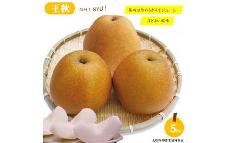 鳥取県産 梨「王秋（おうしゅう）」5kg