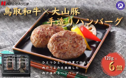 ＜大山物語＞　氷温®熟成 鳥取和牛×大山豚手造りハンバーグ 120g×6