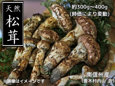 F01　松茸