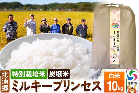 【特別栽培米 炭壌米 ミルキープリンセス】令和7年産 白米 10kg
