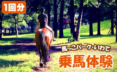 乗馬体験 1回分 チケット 【馬っこパーク・いわて】／ ふれあい 乗馬 体験 馬 ホース ホースセラピー 動物 アニマル アニマルセラピー セラピー 癒し 体験チケット 観光 遊び あそび お出掛け お出かけ おでかけ アクティビティ 子供 子ども こども 大人 おとな おすすめ