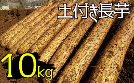 変色しない！ 土付き 長芋 10kg 【マル庄】 ／ 長いも 長イモ ながいも 山芋 やまいも ヤマイモ 芋 いも イモ 春野菜 秋野菜 生野菜 根菜 時短 時短食材 便利 手軽 国産 とろろ 山かけ おすすめ オススメ 人気 １０kg 10キロ １０キロ