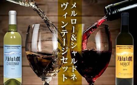 FYN6-464 【数量限定】月山山麓ワイン 赤・白 飲み比べ2本セット（メルロー・シャルドネヴィンテージ）720ml×2 ミディアムボディ 辛口 山形県 西川町