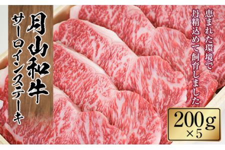 FYN9-863 山形県産黒毛和牛《月山和牛》福寿館 サーロインステーキ 200g×5枚 牛肉 山形県 西川町