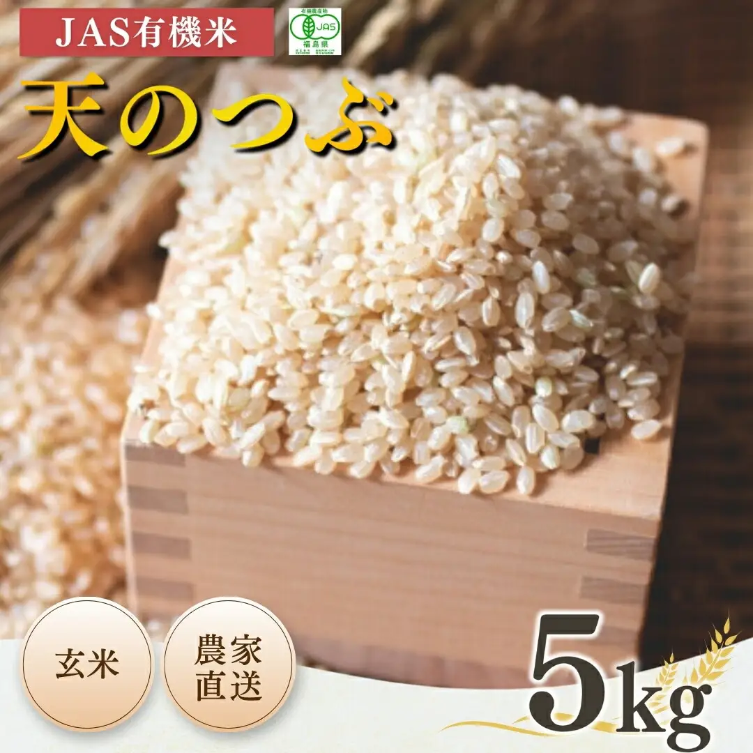 JAS有機米 天のつぶ 玄米5kg ｜ 令和7年産 根本有機農園