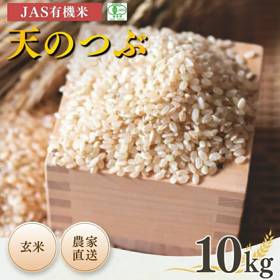 JAS有機米 天のつぶ 玄米10kg ｜ 令和7年産 根本有機農園