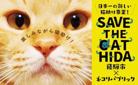 SAVE THE CAT HIDA PROJECT　ネコリパブリックの保護猫シェルター＆ホスピスに名前を刻める権利[neko02n]