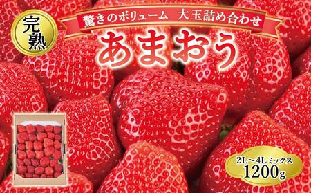 【2026年1月～4月出荷分予約販売】★開けてびっくり★驚きのボリューム完熟あまおう大玉詰め合わせ1200g
