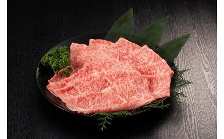 博多和牛ロース500g(しゃぶしゃぶ・すき焼き用)【伊豆丸商店】_HA0192