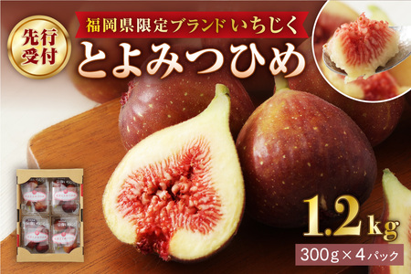 【寄附額改定!】プレミアムいちじく とよみつひめ　1.2kg【JAほたるの里】_HA0278 | いちじく 果物 