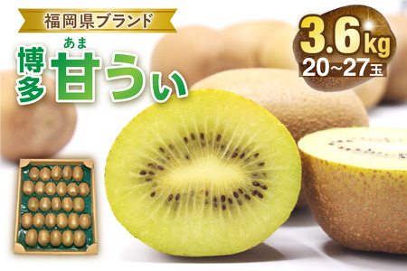 【2026年収穫分 先行予約!】福岡県ブランド！キウイフルーツ「博多甘うぃ」1箱約3.6kg【ほたるの里】_HA0434