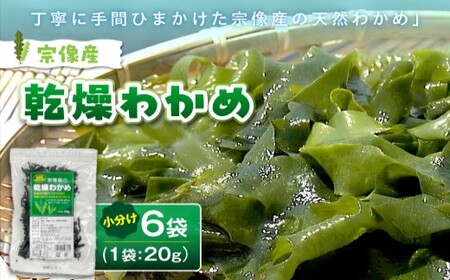 【道の駅むなかた】宗像産 乾燥カットわかめ 20g×6袋セット（計120g）_HA0444