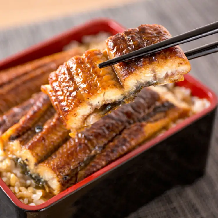 【国産 大型サイズ】ふっくら柔らか国産うなぎ蒲焼き 約２人前 化粧箱入 うなぎ 国産 特大【uot714A】