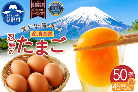 ”忍野の卵”コクの赤玉50個 ※割れ保証含む 卵