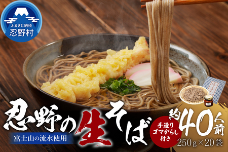 富士山の流水で作る”忍野の生そば”20個箱入り+ごまがらし1瓶　約40人前