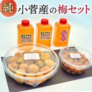 小菅村梅セット