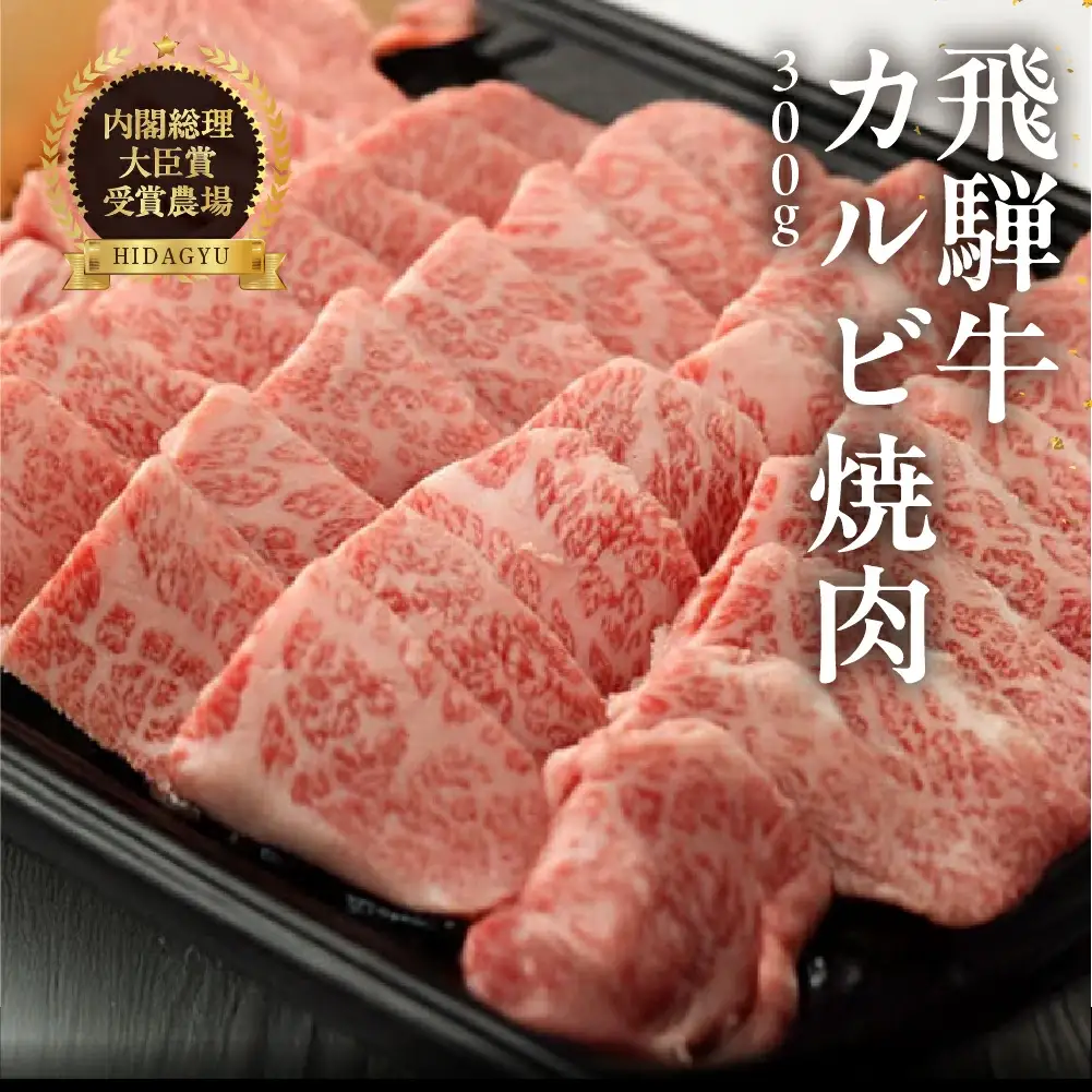 飛騨牛カルビ焼肉  300g 【22-3】