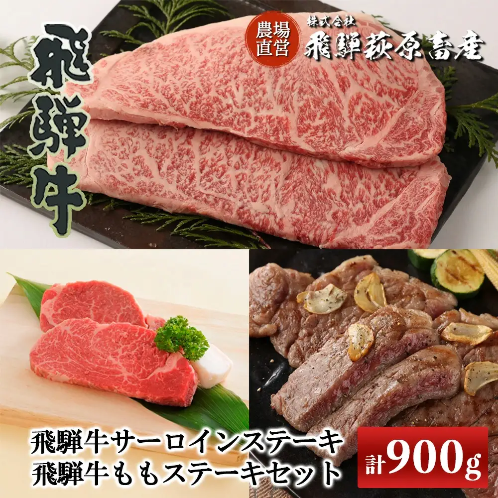 飛騨牛ステーキセット サーロインステーキ(200g×3枚)・ももステーキ(150g×2枚)  【22-9】