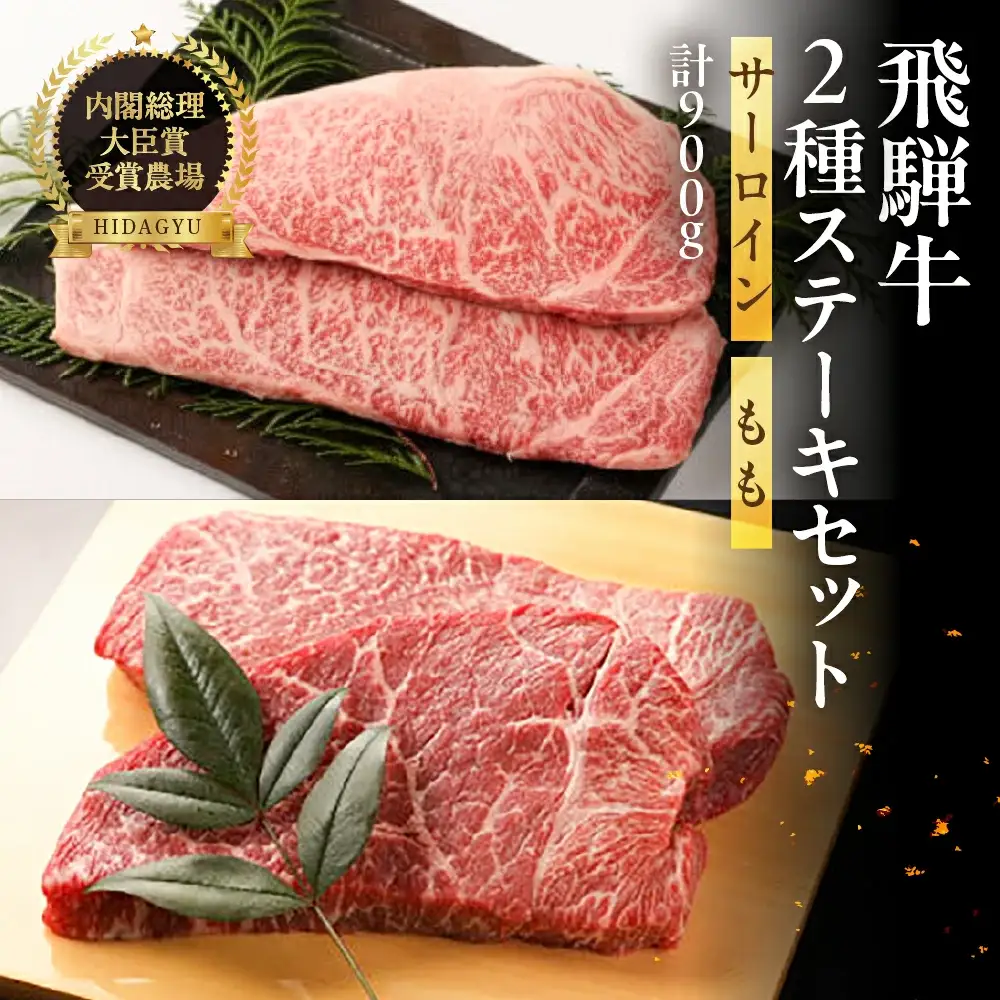 飛騨牛ステーキセット 特上サーロインステーキ(200g×3枚)・ももステーキ(150g×2枚)【22-10】