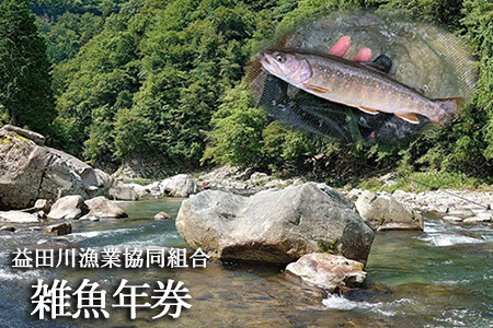 【令和8年】益田川雑魚年券 1枚 【35-2】