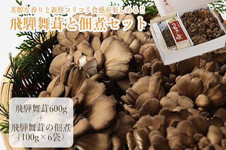 飛騨舞茸と佃煮のセット(飛騨舞茸 600g ・舞茸の佃煮 600g（100g×6袋））【60-1】