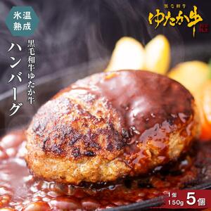 氷温熟成和牛　黒毛和牛ゆたか牛ハンバーグセット