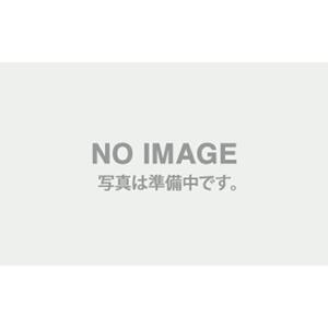 空き家の調査・報告サービス