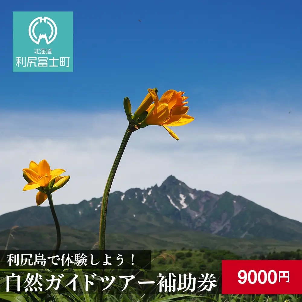 利尻島で体験しよう！自然ガイドツアー補助券（9000円）
