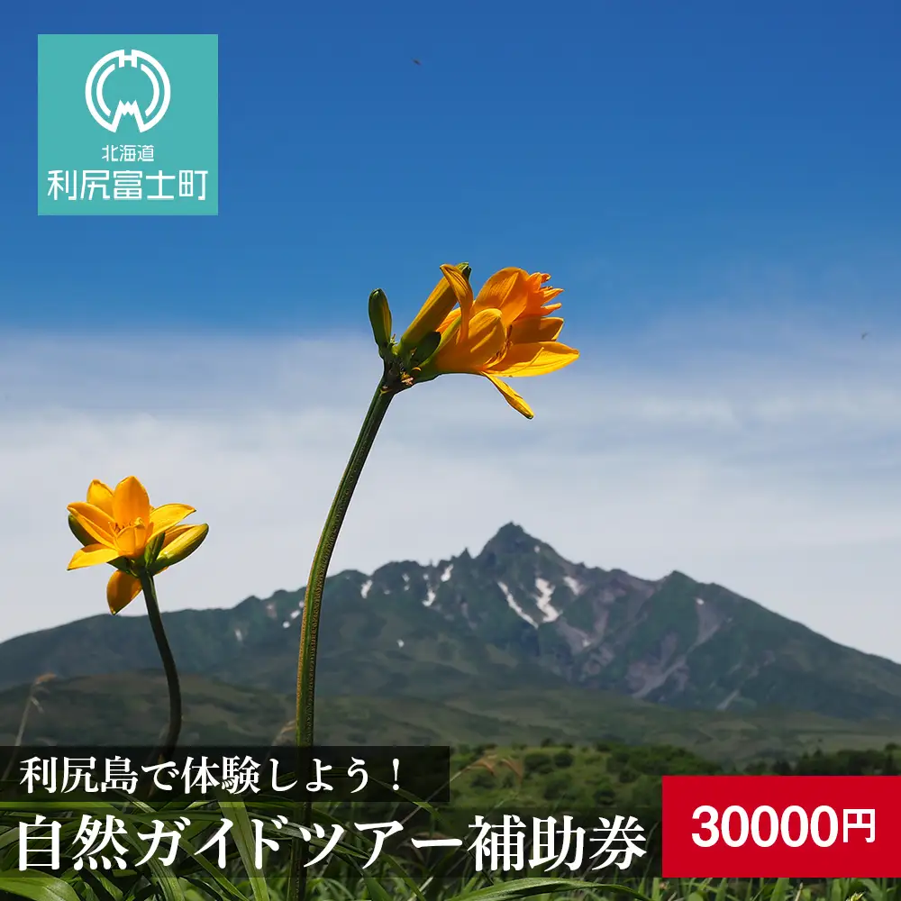 利尻島で体験しよう！自然ガイドツアー補助券（30000円）
