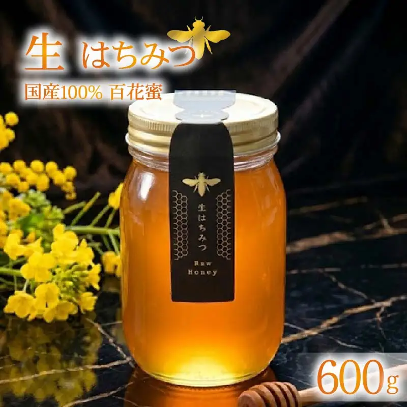 ＜下田みつばち＞下田産ローハニー(生はちみつ)600g　[下田みつばちのローハニー 蜂蜜 国産]