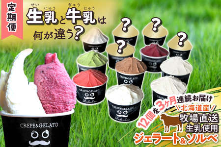 ＜3ヶ月定期便＞北海道産 生乳 ジェラート アイス 毎月12個  詰め合わせ ジェラートセット