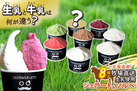 北海道産 生乳 ジェラート アイス 8個 ジェラートセット