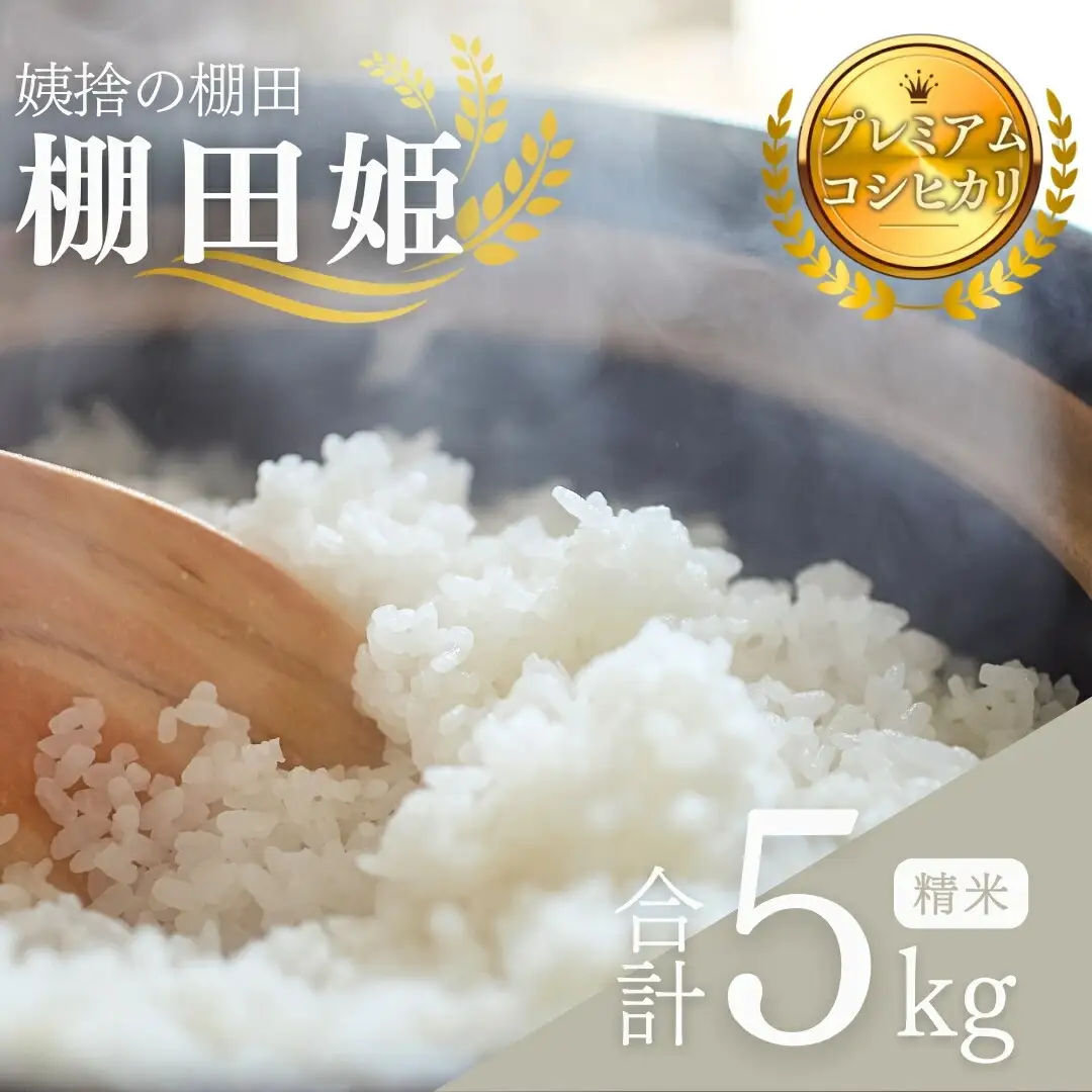 【2026年先行予約】【令和8年産】姨捨 の 棚田 プレミアム コシヒカリ 「 棚田姫 」 5kg | コシヒカリ