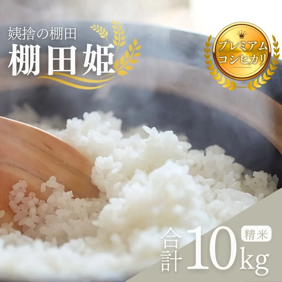 【2026年先行予約】【令和8年産】姨捨の棚田 プレミアム コシヒカリ 「 棚田姫 」 10kg | コシヒカリ