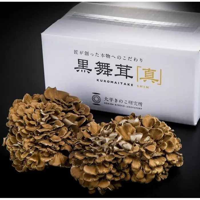 大平きのこ研究所の大黒舞茸「真」１ｋｇ