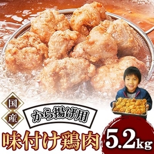唐揚げ 5.2kg 鶏肉 唐揚げ からあげ NDM