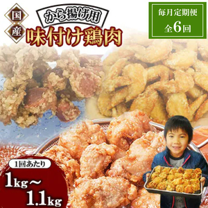 定期便 6回 唐揚げ からあげ 唐揚げ 定期便 惣菜 定期便 NDMT