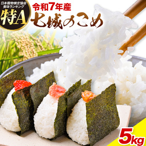 令和7年産 七城のこめ 精米 5kg  有限会社七城町特産品センター 《30日以内に出荷予定(土日祝除く)》