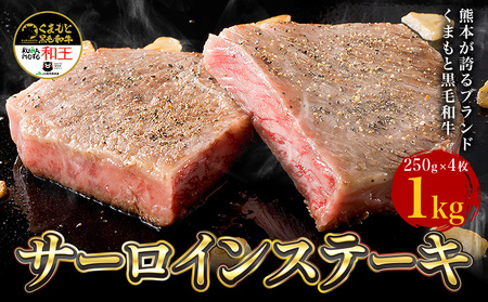 熊本県産 黒毛和牛 サーロイン ステーキ 計1kg（250g×4）《90日以内に出荷予定(土日祝除く)》国産 牛肉