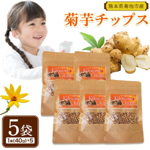 菊芋チップス セット 5袋 40g×5袋 合計 200g チップス 有限会社きくち観光物産館 《90日以内に出荷予定(土日祝除く)》熊本県 菊池市 お菓子 おつまみ おやつ きくいも 菊芋 健康 セット 送料無料