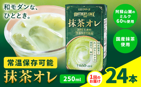 抹茶・オ・レ 【1回】250ml×24本 選べる 内容量 合同会社たべたせいか《30日以内に出荷予定(土日祝除く)》 抹茶オーレ 抹茶オレ 抹茶ミルク 抹茶 抹茶 乳製品 乳飲料 クロレラ 飲み物 飲料 常温保存 お取り寄せ 国産抹茶 熊本県産 菊池市 送料無料