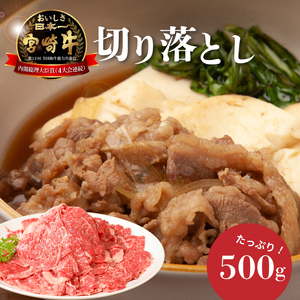 ＜宮崎牛　和牛　切り落とし500g＞ K01_0009_1