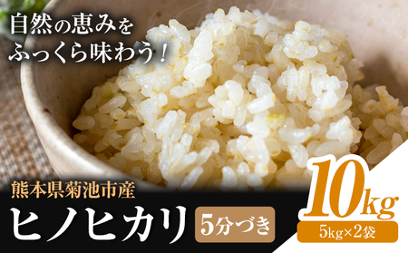 米 ヒノヒカリ 5分づき 10kg 内容量 1袋 5kg 合同会社くまもとごはん 《30日以内に出荷予定(土日祝除く)》 熊本県 菊池市 お米 分づき米 九州産 熊本県産 白米 無洗米 ひのひかり 送料無料