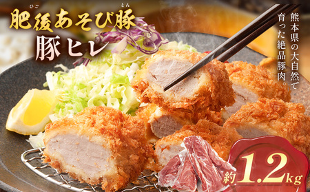 肥後あそび豚 ヒレ 約1.2kg 株式会社さつま屋産業《30日以内に出荷予定(土日祝除く)》熊本県 菊池市 ぶた ブタ 豚肉 肉 ブランド豚 ヒレ ヒレ肉 国産 九州産 熊本県産 菊池市産 冷凍 送料無料