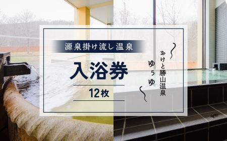 おけと勝山温泉ゆぅゆ入浴券12枚 OTD003 