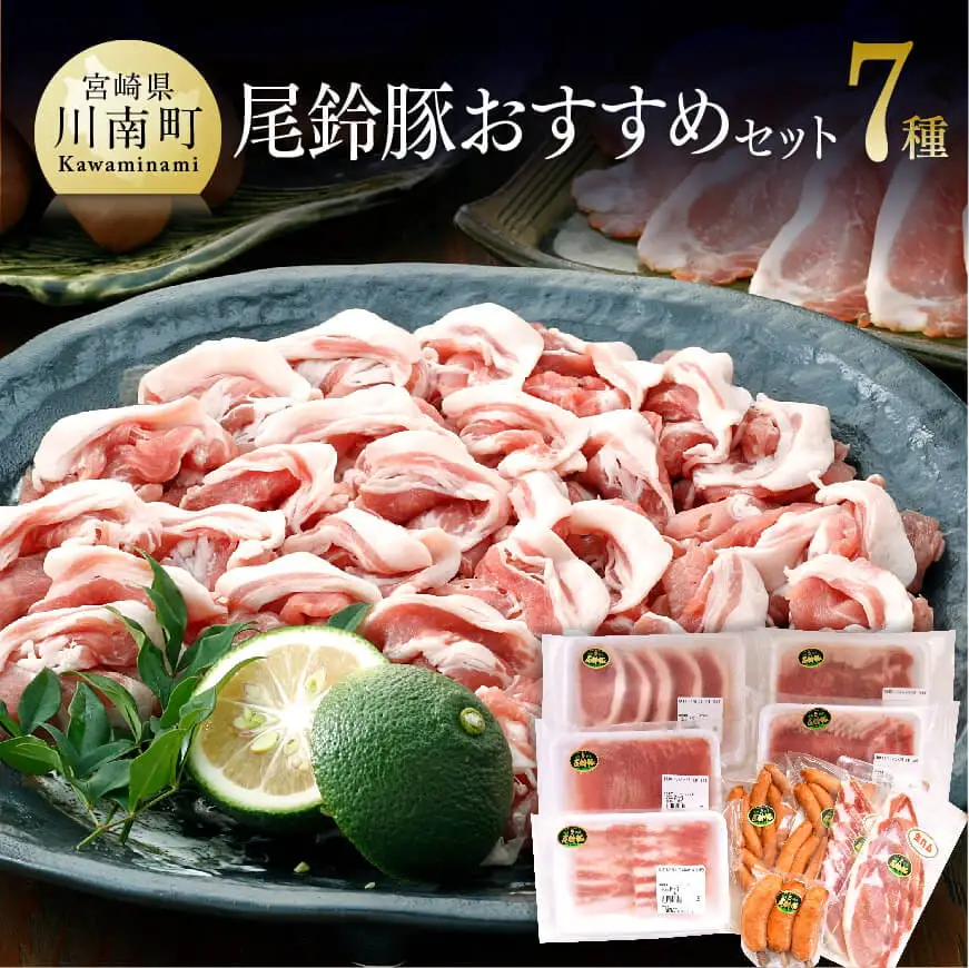 尾鈴豚おすすめセット 【 肉 豚肉 国産豚肉 九州産豚肉 宮崎県産豚肉 ロース バラ 加工品 豚肉詰合せ 】