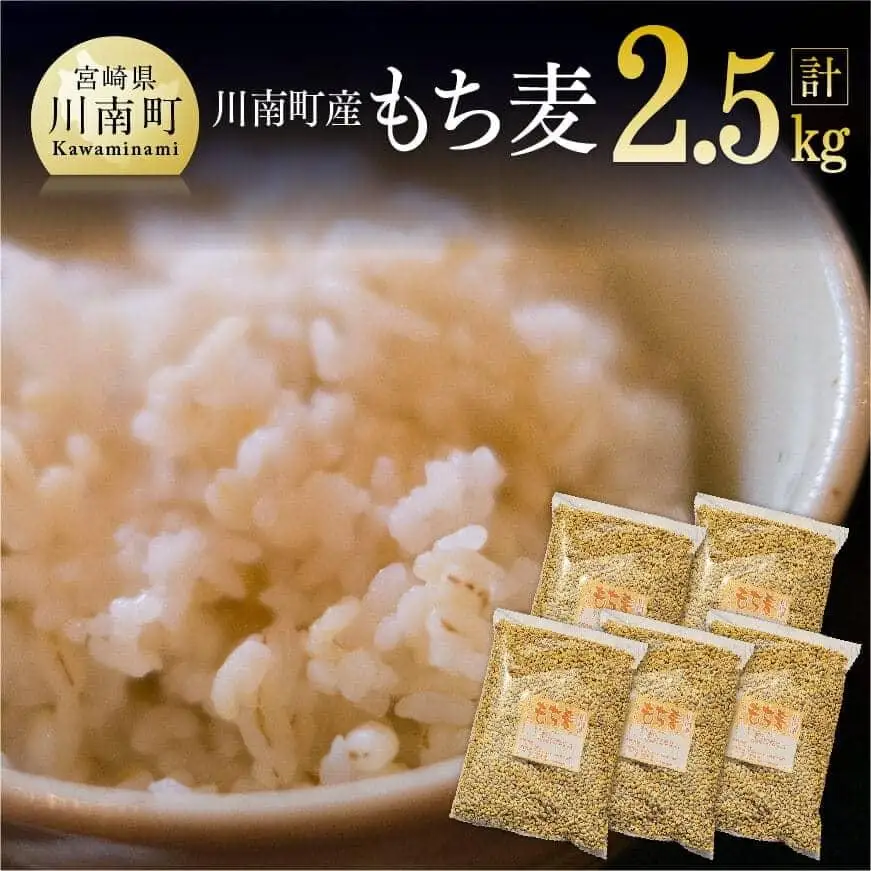 令和7年産 もち麦 2.5kg（500g×5袋） 【 ふるさと納税 国産 麦 もち麦 食物繊維 数量限定 宮崎県産 川南町産 送料無料 】