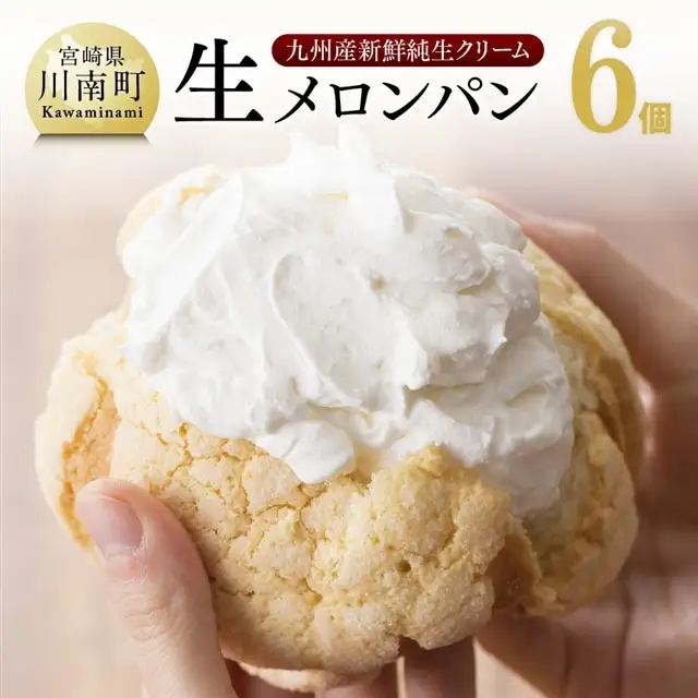 『押川春月堂本店』生メロンパン6個【スイーツ おやつ パン 大人気 生クリーム 川南町】